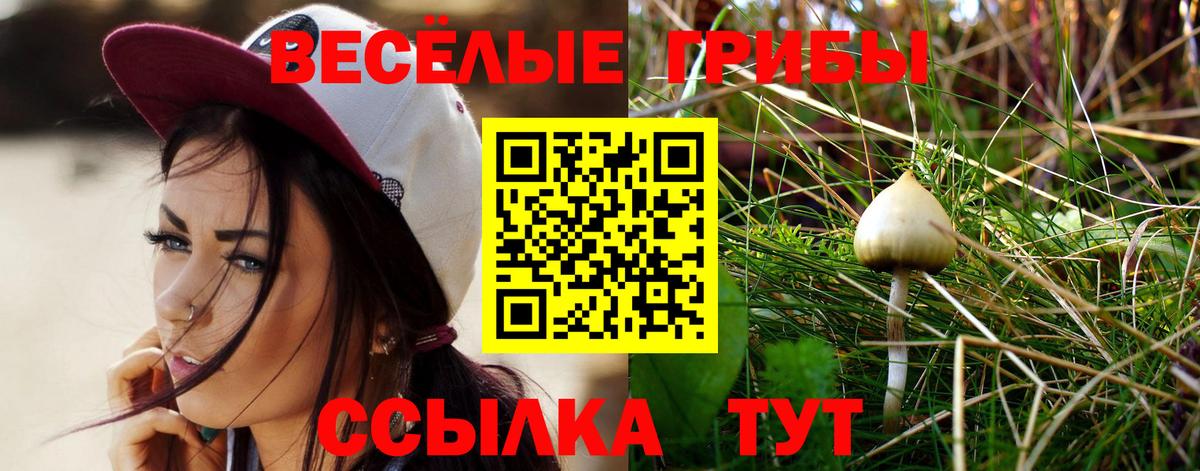 Малгобек  Псилоцибиновые грибы GOLDEN TEACHER  Галлюциногенные грибы прущие грибы  Вход с VPN 
